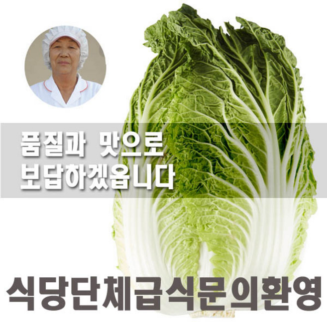 괴산 김장통배추 3통/망배추/김장배추, 7kg, 1개, 3개