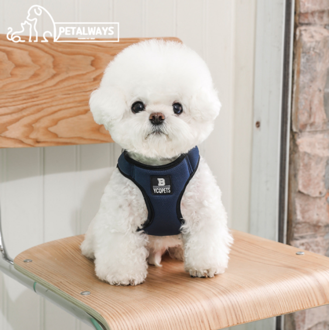 펫올웨이즈 기본형 통풍 강아지 하네스 리드줄 세트, 네이비