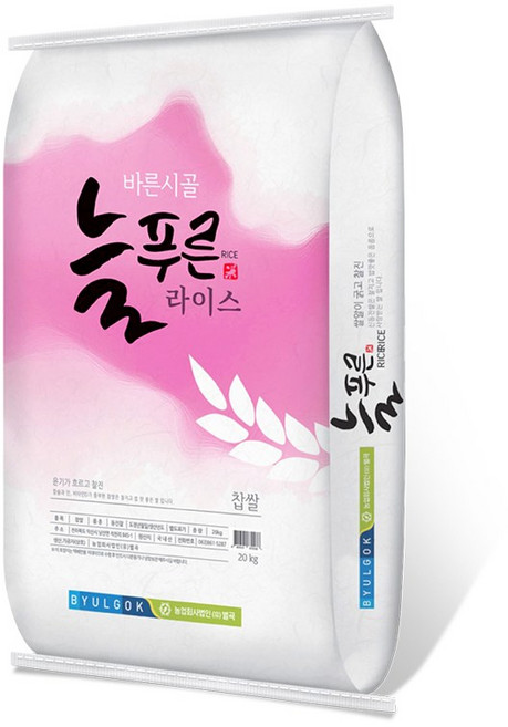 국내산 찹쌀 25년산 당일도정, 20kg, 1개
