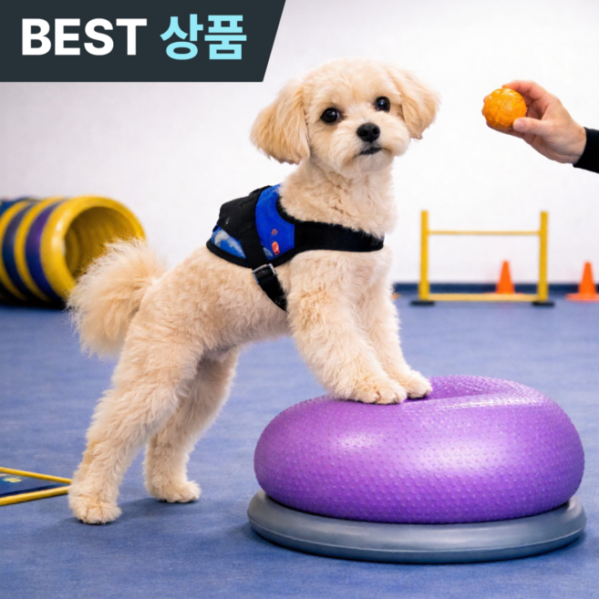 플러클 강아지짐볼 도넛 밸런스볼 슬개골탈구예방, 1개, 퍼플