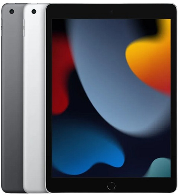 애플 아이패드 10.2 9세대 64GB Wi-Fi A2602 중고 태블릿JP, A급, 스페이스 그레이