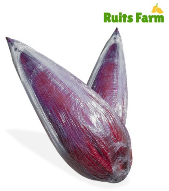 [루츠팜] 태국 생 바나나꽃 900g~1kg(1~2수) banana blossoms