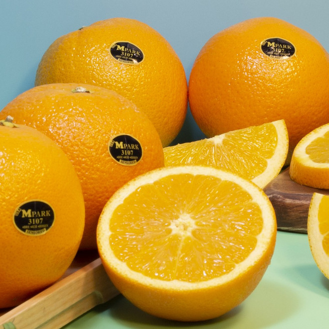 정품 블랙라벨 고당도 오렌지, 72개, 230g 내외(대과)