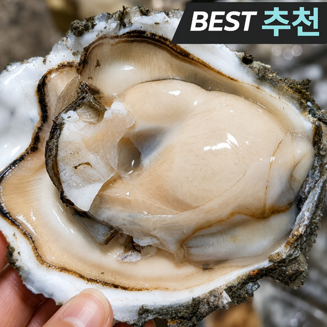 (산지직송) 자연의맛 통영 자연산 바위굴, 1박스, 3kg