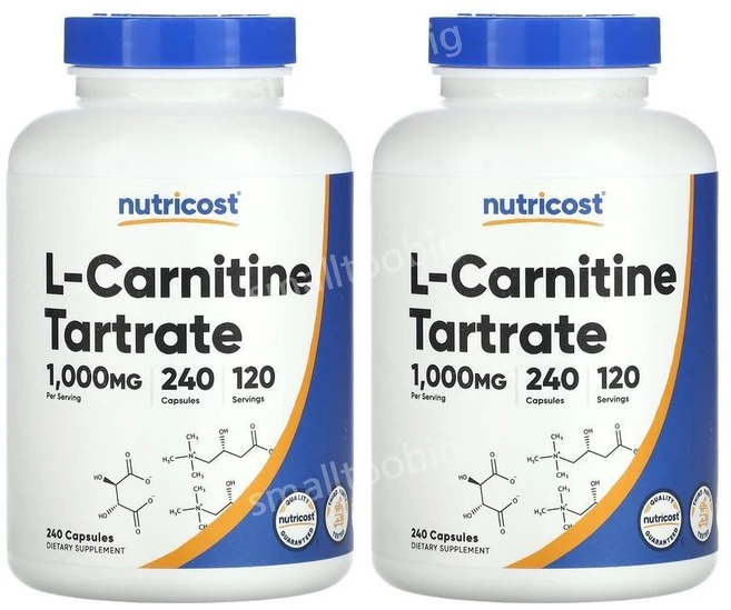 뉴트리코스트 엘 카르니틴 타르타르산염 1000mg 240캡슐 2병 L carnitine, 240정 2병, 240정 - 쿠팡