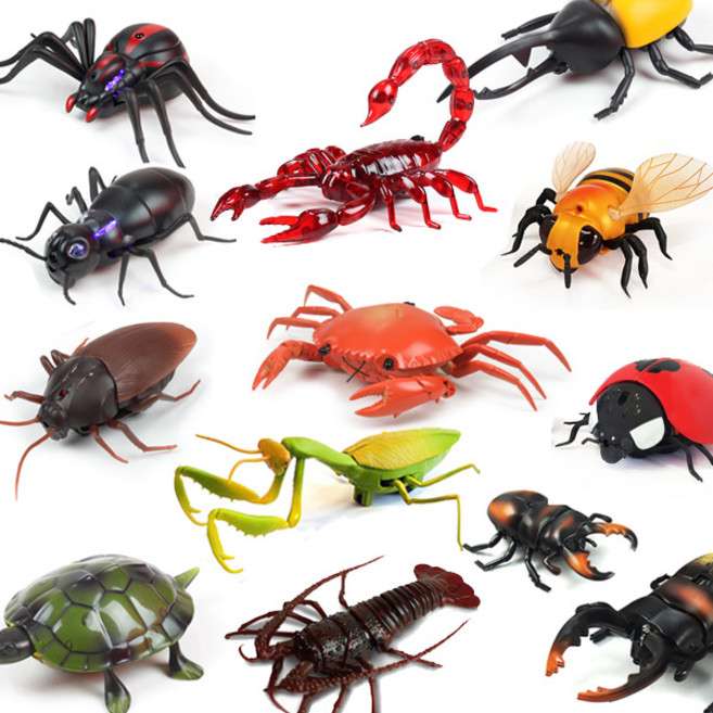 리모컨조정 동물 곤충 RC 개미 메뚜기 거북이 사슴벌레 거미 전갈, 01_풍뎅이RC, 1개