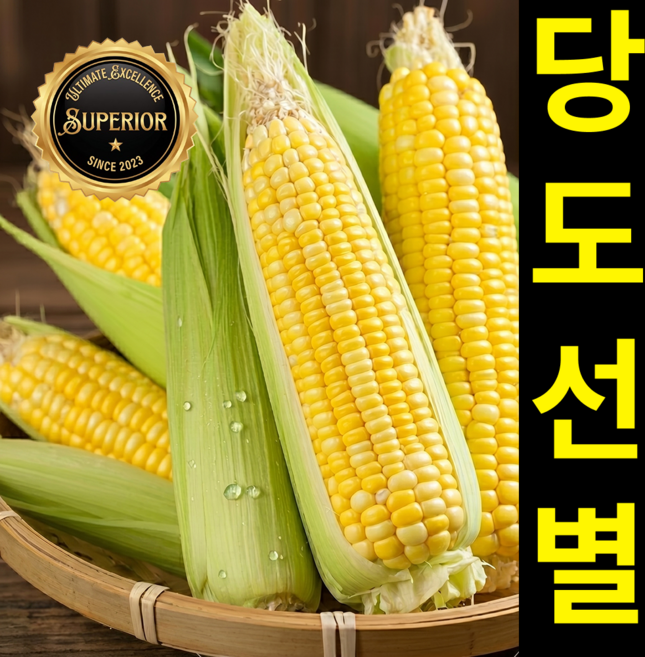 [26년첫수확] 당도선별 국내산 초당옥수수 산지직송, 1세트, 특품 5개