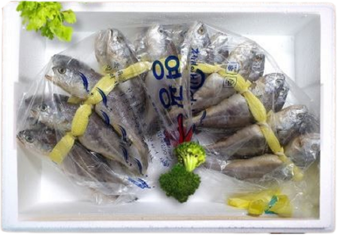 산지직송 영광 법성포 가정용 참조기 굴비 20미, 영광 굴비 20미 - 1.9kg, 1개, 영광 굴비 장줄 20미 - 1.9kg