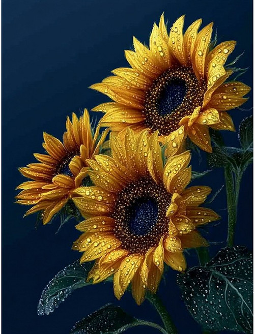 뉴타임즈 보석 자수 캔버스 타입 40X50cm 액자 포함 다이아몬드 그림 홈 인테리어 수공예 애호가 풍경화 동식물 특별한 선물, 1개, 해바라기 00403