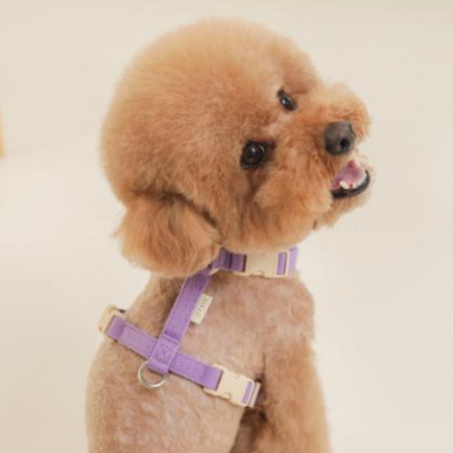 힛찌 초경량 강아지하네스 목버클 H형 초소형견 소형견 중형견 가슴줄, 터키블루, 1개