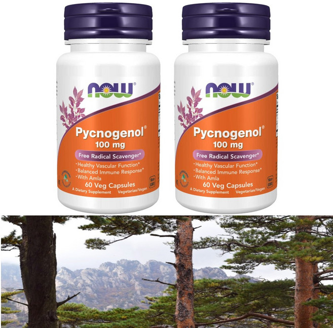 나우푸드 피크노제놀 100mg 베지 캡슐, 60정, 2개