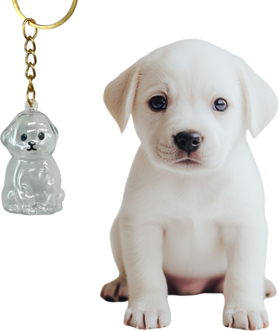 메모리펫 강아지 털 보관 캡슐 메모리얼 키링, 1개, 댕댕이