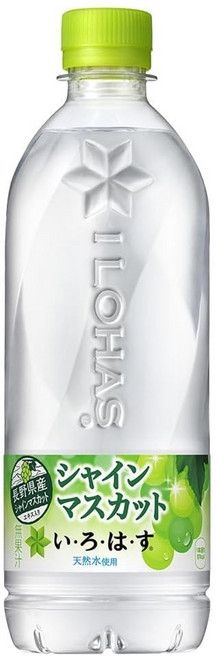일본음료 이로하스 샤인머스캣 540ml 24개입, 24개