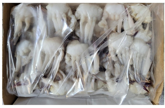 냉동 절단꽃게 450g, M, 4개