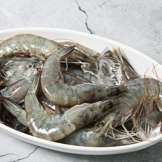26년 햇 신안 활 생새우 1kg(40미 내외), 1개