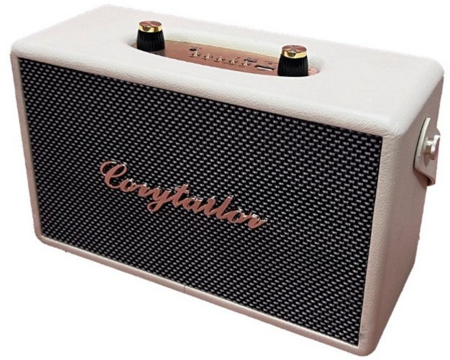 코지테일러 CT-20W TWS EQ모드 블루투스 스피커 B140, 크림