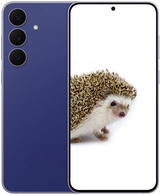 삼성전자 갤럭시 S 25 FE 새상품 미개봉, 256GB, 네이비 색상 선택하기