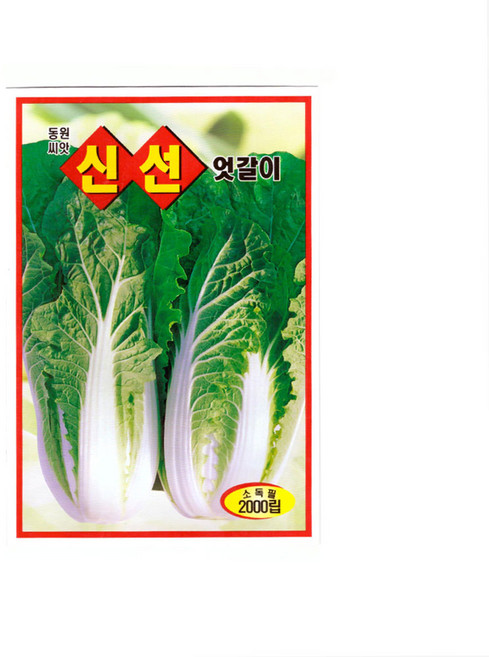 모칸도 동원종묘 신선 엇갈이배추 2000립, 1개