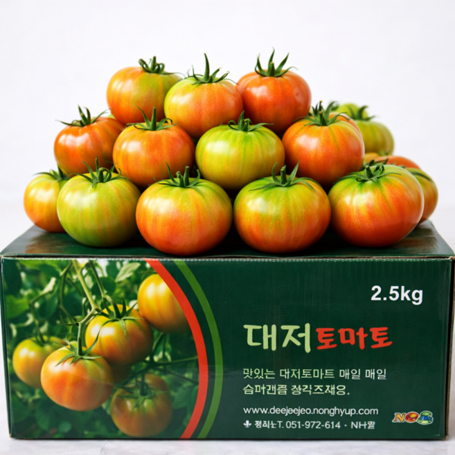 [산지직송] 초고당도 대저토마토 짭짤이 정품, 1박스, 대저토마토 2.5kg (L~2L)