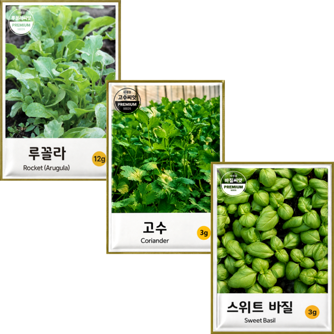 허브씨앗 3종 고수+바질+루꼴라 요리 향신료 허브 씨앗 키우기, 1개