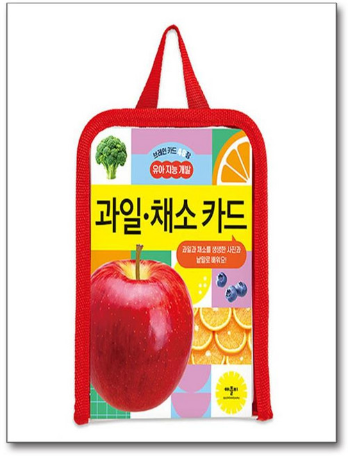 브레인 카드 48장 유아 지능 개발 과일·채소 카드 애플비