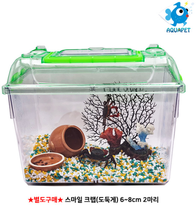 스마일 크랩(도둑게)키우기-클린 채집통(대)세트 시리즈, 세트A, 1개