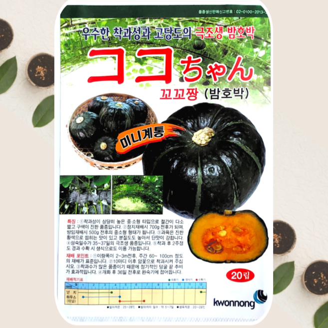 밤호박/미니밤호박종자/소형단호박 (꼬꼬짱밤호박) 20립 1봉지, 1개