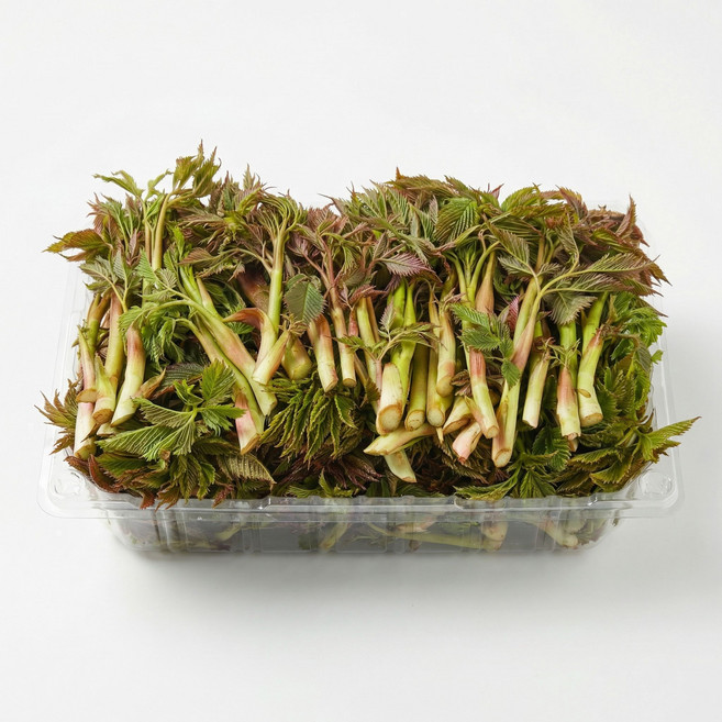 강원도 귀농가족 눈개승마 삼나물, 500g, 1개