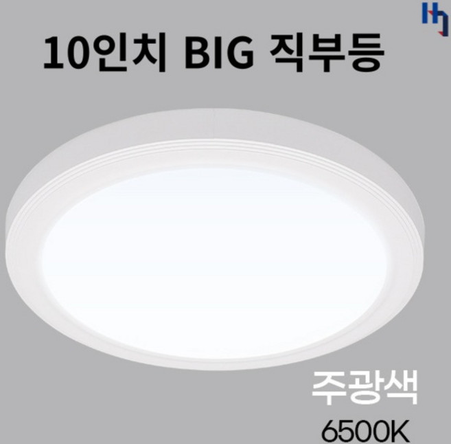 원형 LED직부등 10인치 24W 주광색 심플 빅직부등 엣지 큰타입 주택 현관 복도 계단 베란다 메가맨, 1개