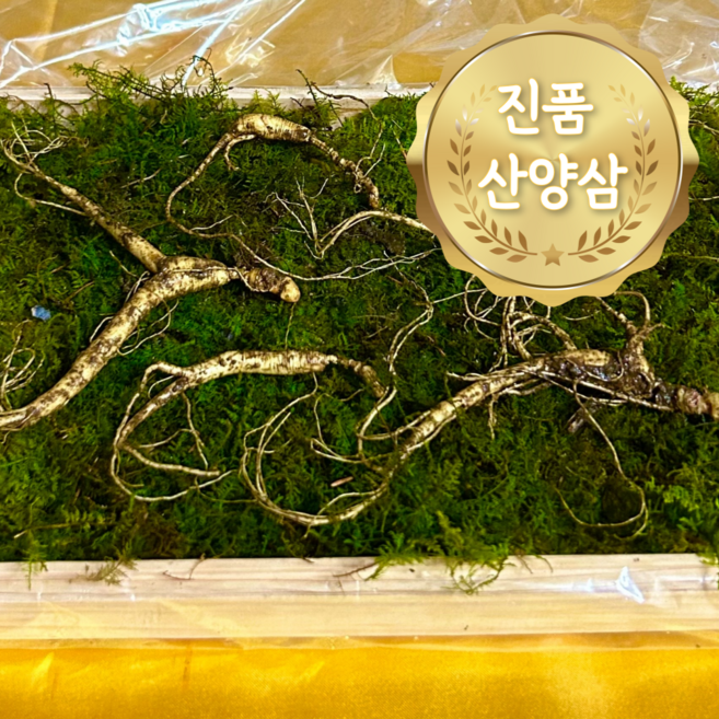 산양삼 장뇌삼 7-8년산 선물용 5뿌리 + (2등급) 3뿌리 선물용 상자포장 어버이날선물 설 추석 명절선물, 1개