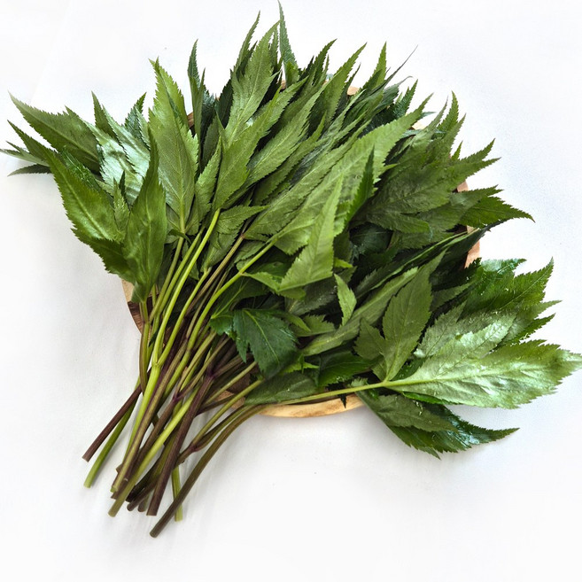 클릭마켓 국내산 당귀 당귀잎 쌈채소, 1개, 500g