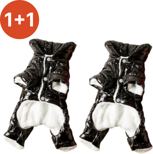 1+1 집안살림 반려견 강아지 올인원 전신 패딩 방한복, 2개, 블랙+블랙
