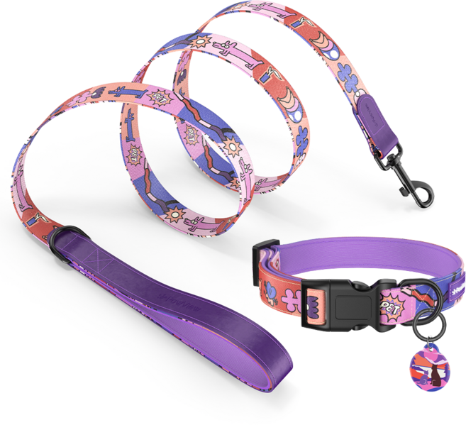 포뷰 타임 시리즈 목줄+리드줄+분실방지 태그 세트, 일몰