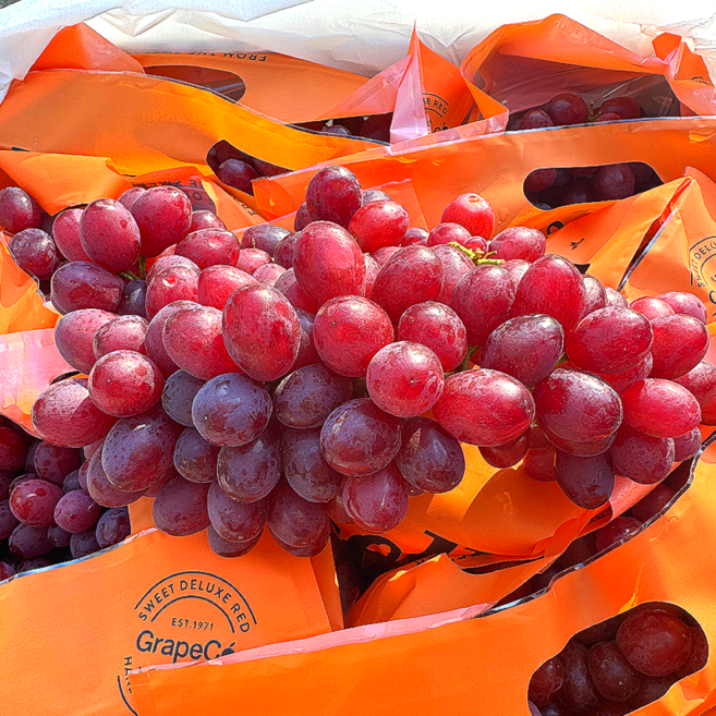 고당도 캔디포도 솜사탕향 씨없는 적포도 칠레 미국산 수입 포도 캔디하트 캔디스냅, 1개, 2kg