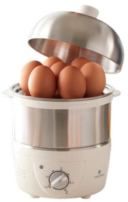 디온리 풀스테인리스 스팀 계란 전기찜기, NBE023s