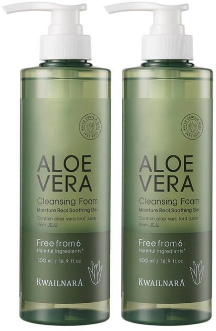 과일나라 알로에베라 모이스처 클렌징폼, 500ml, 2개