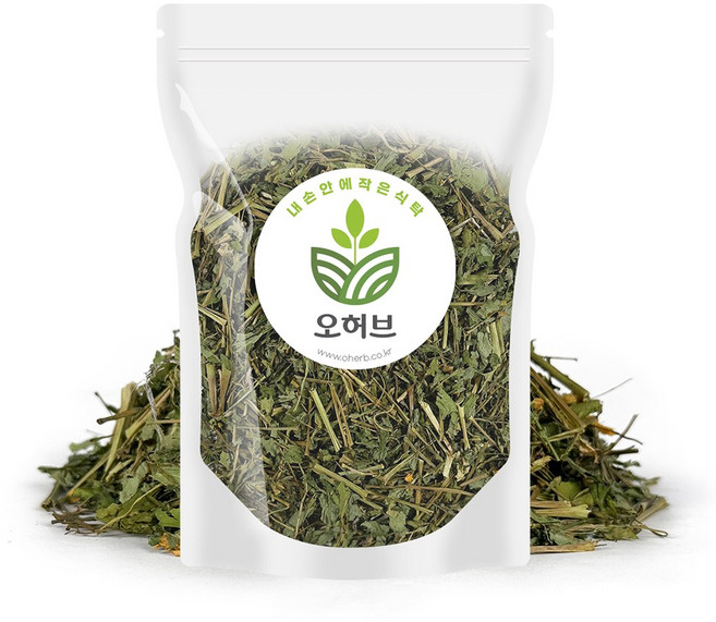 국산 백굴채 애기똥풀 200g, 1개