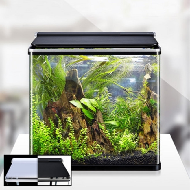 아마존 일체형어항 AMZ-630F (화이트), 1개