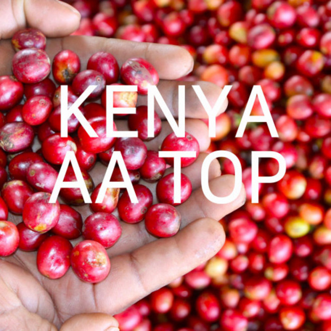 싱글오리진 - 케냐 AA TOP 200g, 에스프레소(모카포트), 1개
