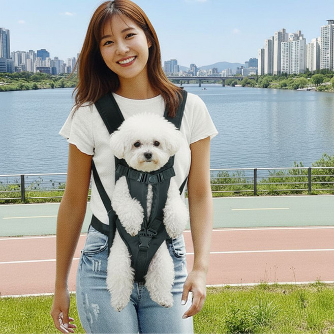 토도판다 강아지 고양이 프론트 백팩, 1개, 블랙
