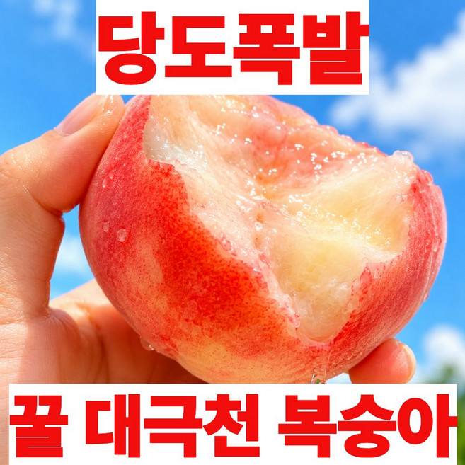 [7차완판특가] 반납작 대극천 복숭아 당도폭발 딱딱이, 1개, 2kg