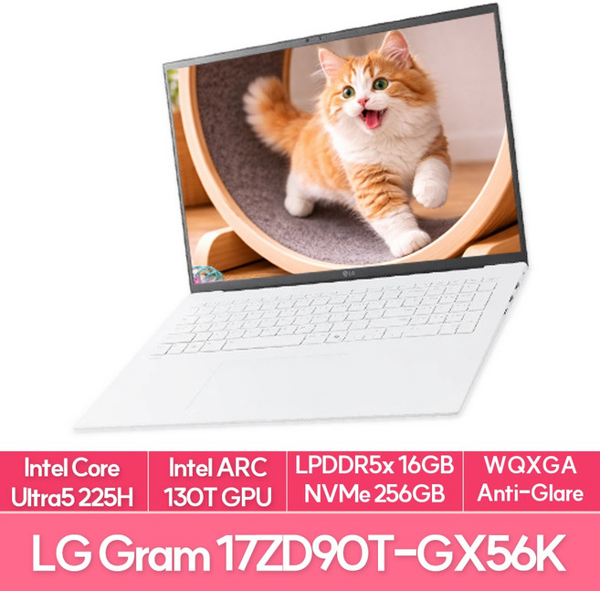 LG전자 2025 그램 AI 17 코어Ultra5 방문설치, 스노우 화이트, 17ZD90T-GX56K, 256GB, 16GB, Free DOS