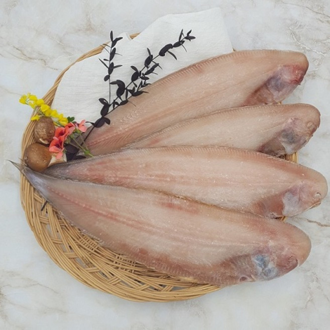 부산 반건조 생선 서대 박대 반찬용 제수용 조림용, 1개, 총500~590g, 대 3마리 (36cm내외)