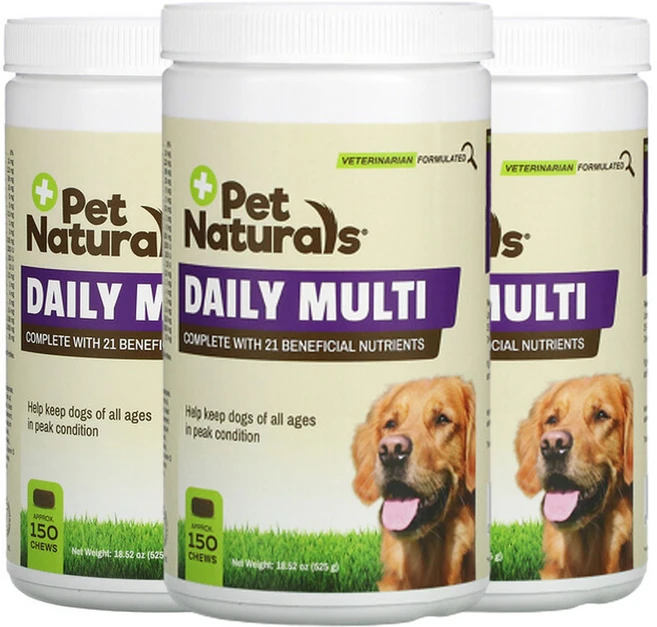 펫네츄럴스 데일리 멀티 반려견 전용 츄 150개 525g(18.52oz), 3개 - 쿠팡