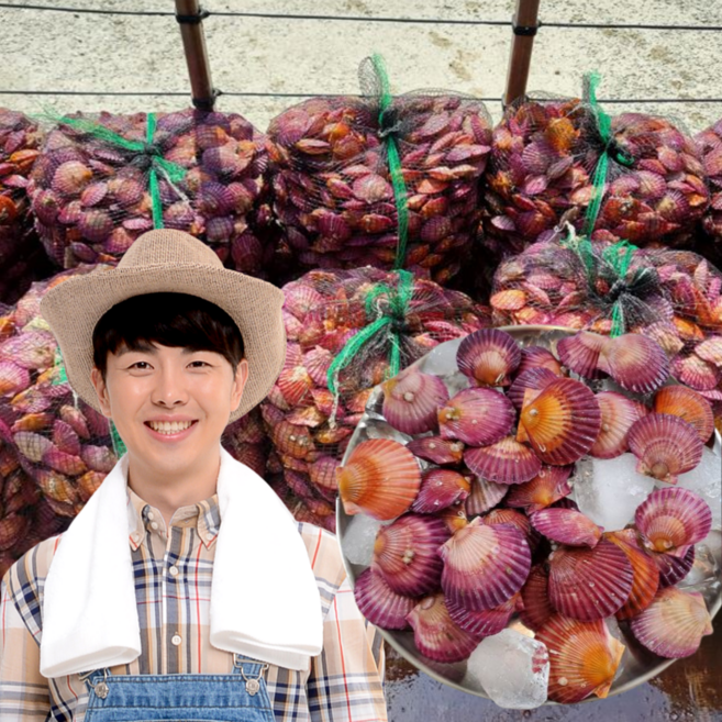 먹사부 통영 활 비단 홍 가리비 찜용 조개구이 국산 왕, 1개, 3000g, 제철가리비
