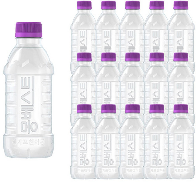 몽베스트 생수, 330ml, 40개