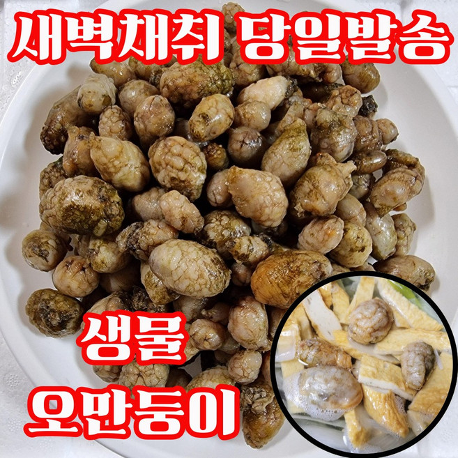 [초초특가] 국내산 생물 오만둥이 특품, 1개, 5kg