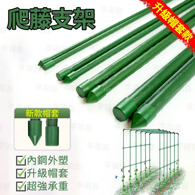 享園藝 升級帽套款 加厚鋼管植物支撐桿 爬藤架 葡萄 百香果 黃瓜 豆角 番茄 攀爬架, 8mm*長150公分-20根
