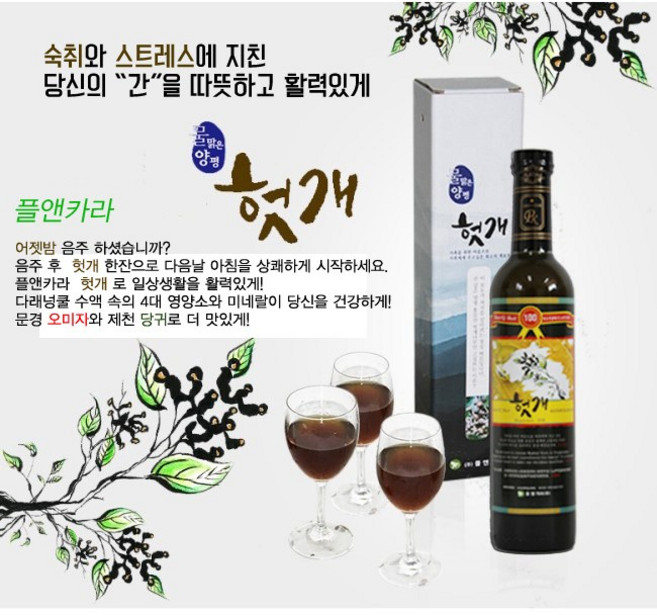 플앤카라 14년 숙성 헛개 발효 효소 원액 액기스, 1개, 500ml