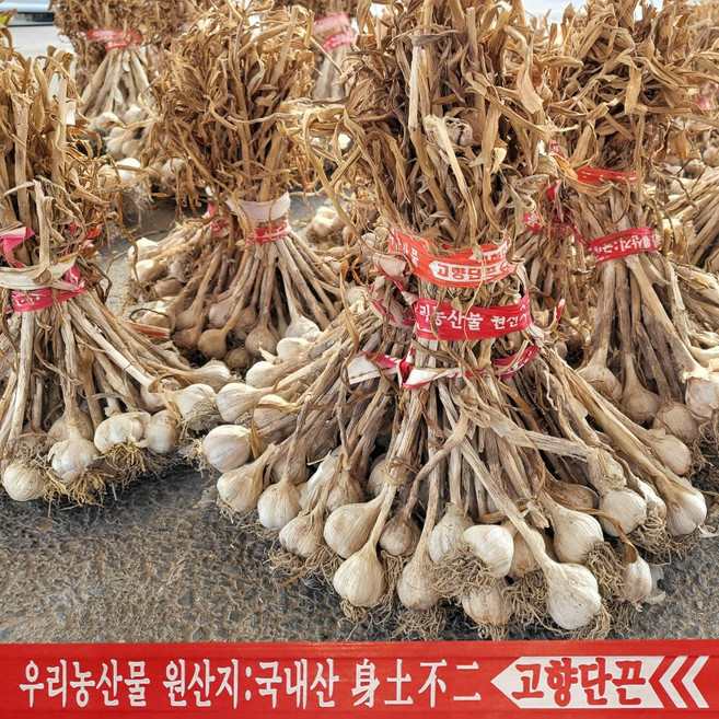 단끈 농산물 묶음끈 야채 부추 열무 모종끈 결속끈 철심끈, 500개, 60cm